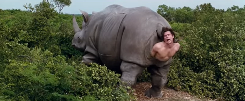 Ace Ventura