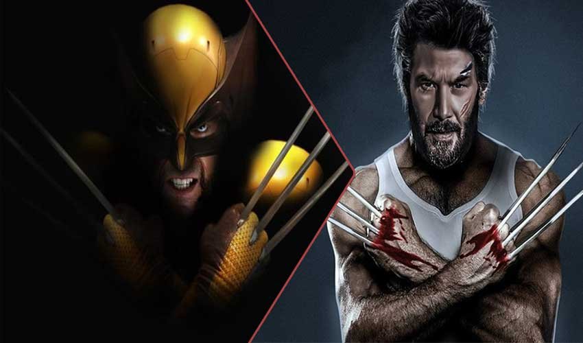 Wolverine